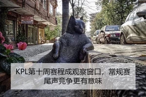 di-shi-zhou-sai-cheng-cheng-guan-cha-chuang-kou-chang-gui-sai-wei-sheng-jing-zheng-geng-you-yi-wei-2-996.jpg