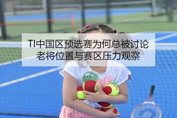 TI中国区预选赛为何总被讨论 老将位置与赛区压力观察
